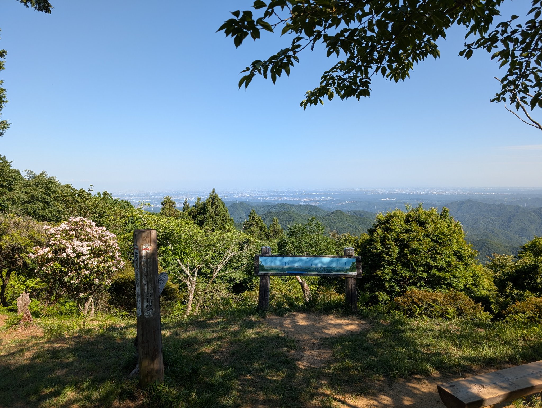 低山 (2/4)