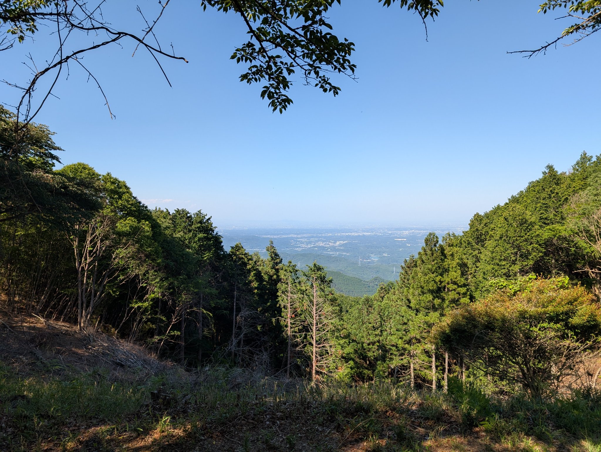 低山 (4/4)