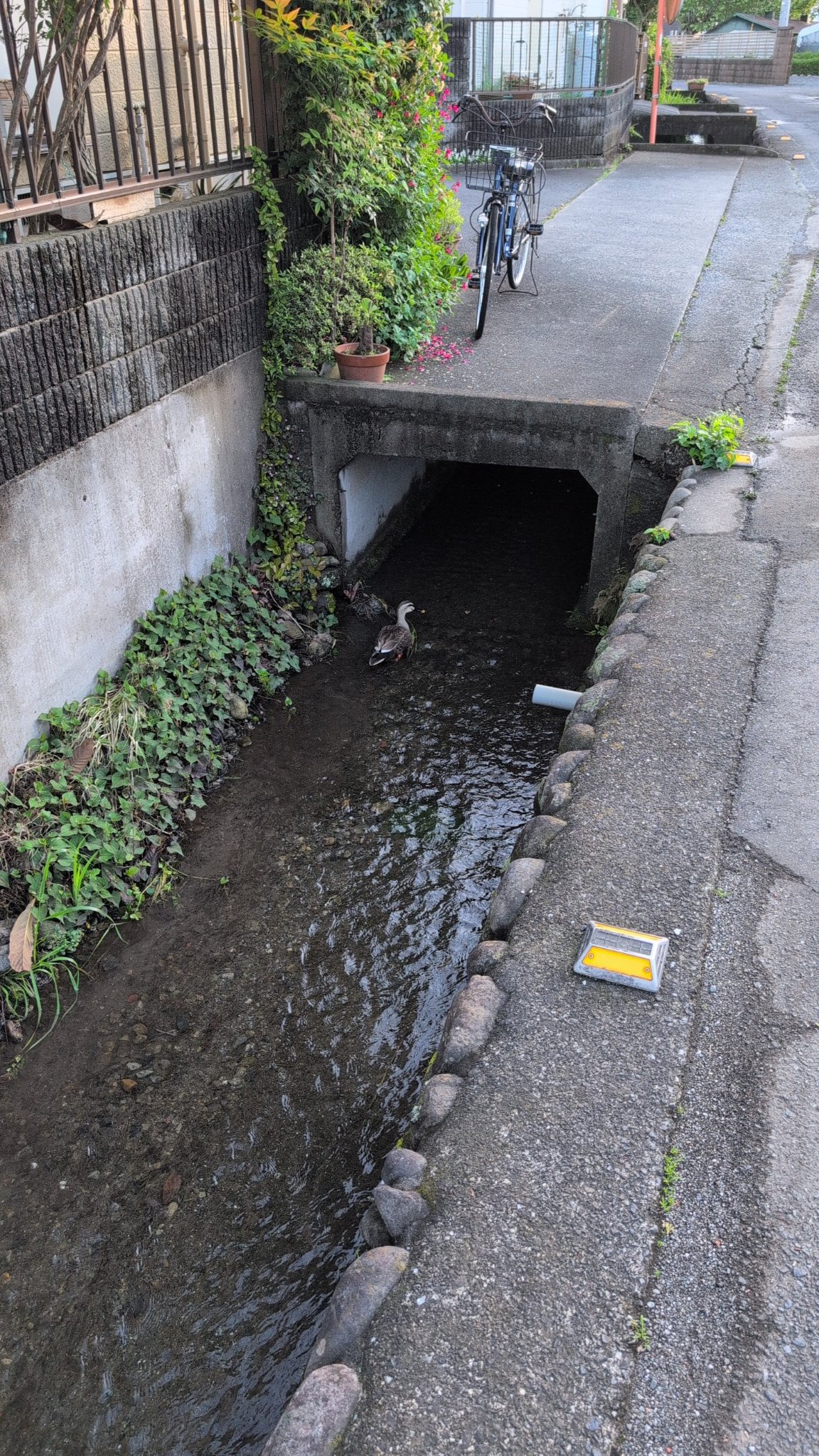 水路 (1/1)