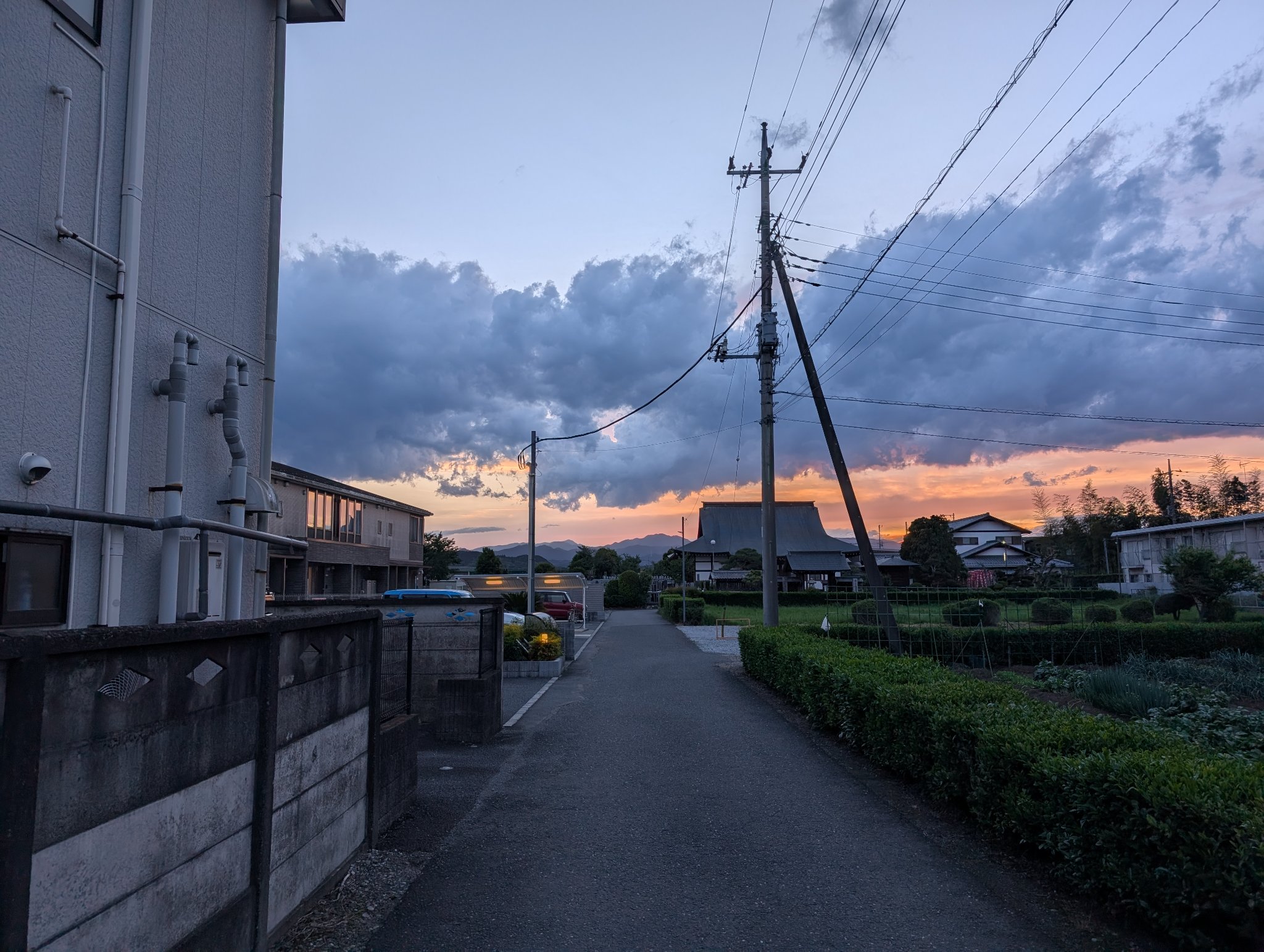 無題 (1/2)